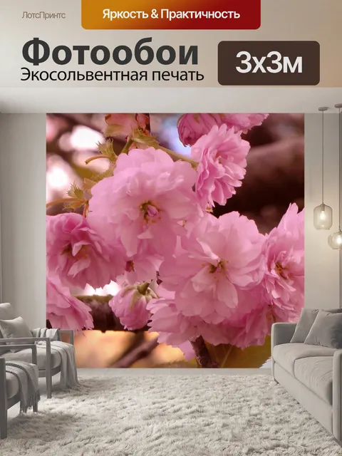Фотообои Cherry Blossom Tree Branch