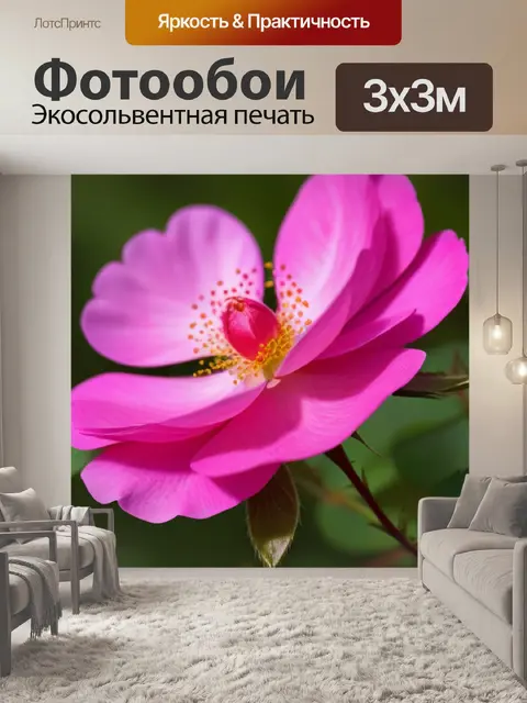 Фотообои нежность через цветы шиповника