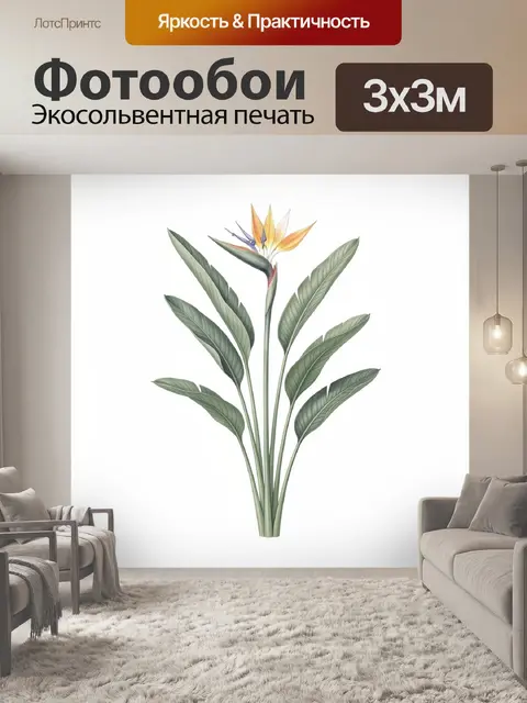 Фотообои Тропический цветок стрелиция ботаника