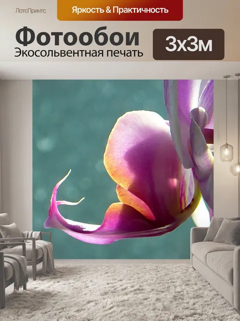 Фотообои Орхидея