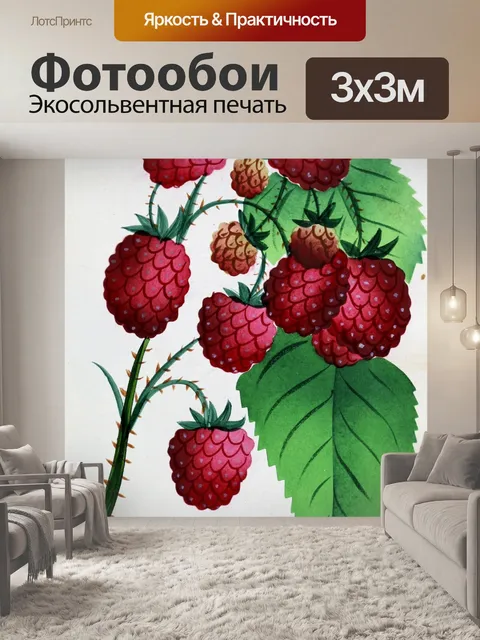 Фотообои Малина Рубус 1872