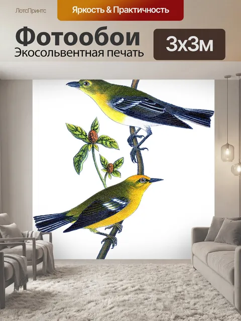 Фотообои Птицы ветка винтажное искусство