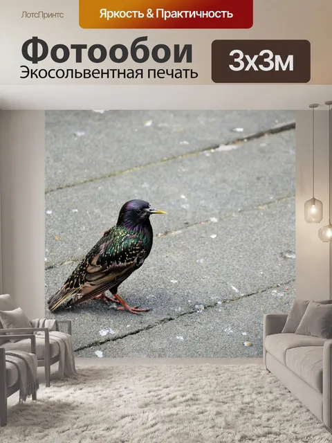 Фотообои Птицы