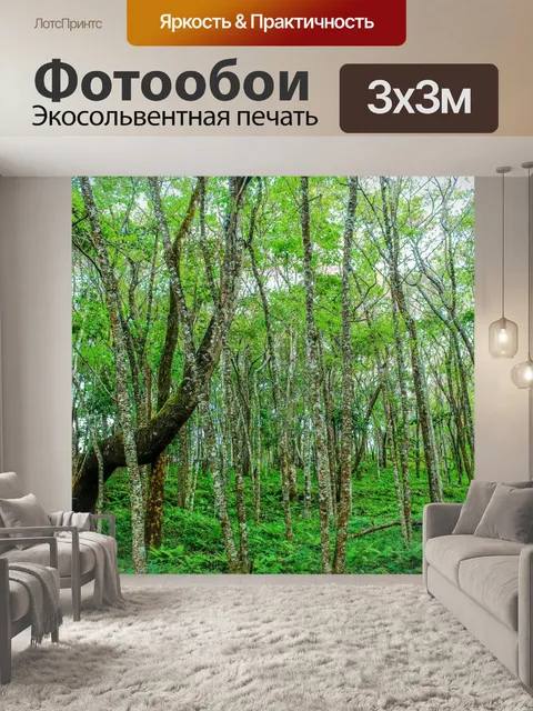 Фотообои Дикая гималайская вишня, Чианг Рай