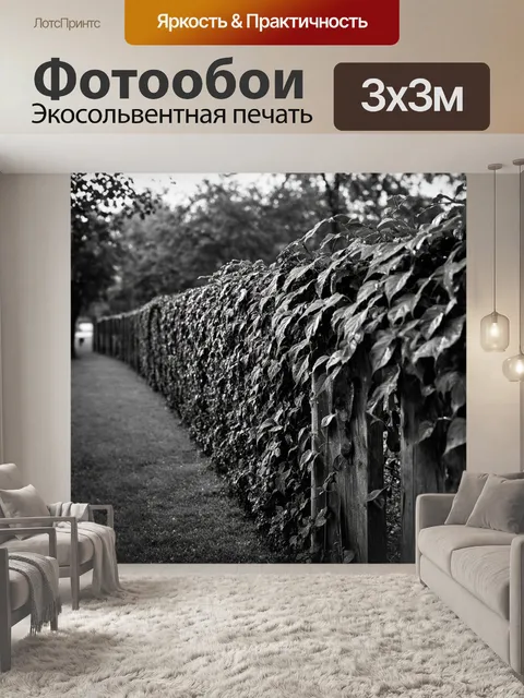 Фотообои черно-белый с забором, обвитым плющом, который ведет к неведомым дали