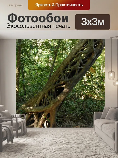 Фотообои Джунгли