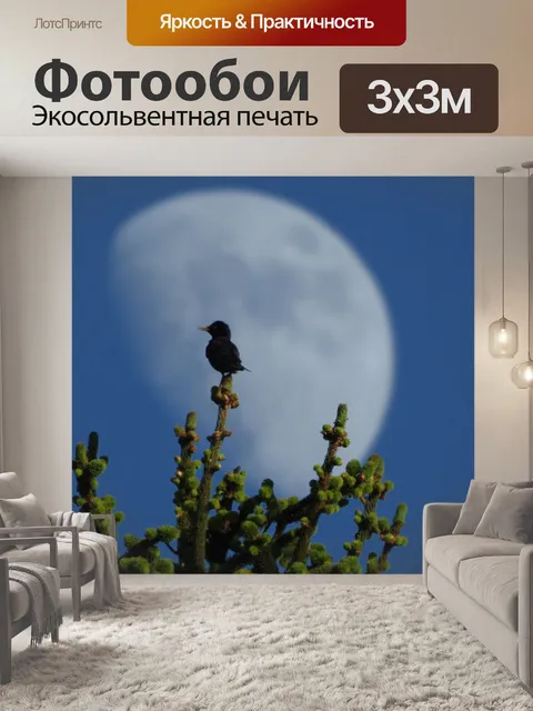 Фотообои Старлинг и Луна D &amp; C