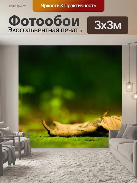 Фотообои Стрекоза
