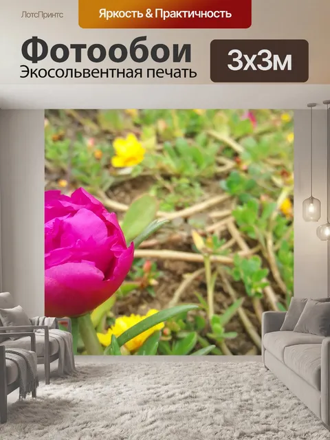 Фотообои Цветы