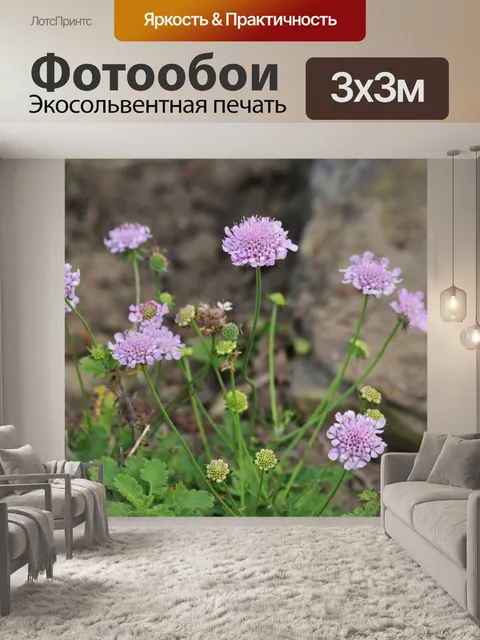 Фотообои Фиолетовые цветы-подушечки