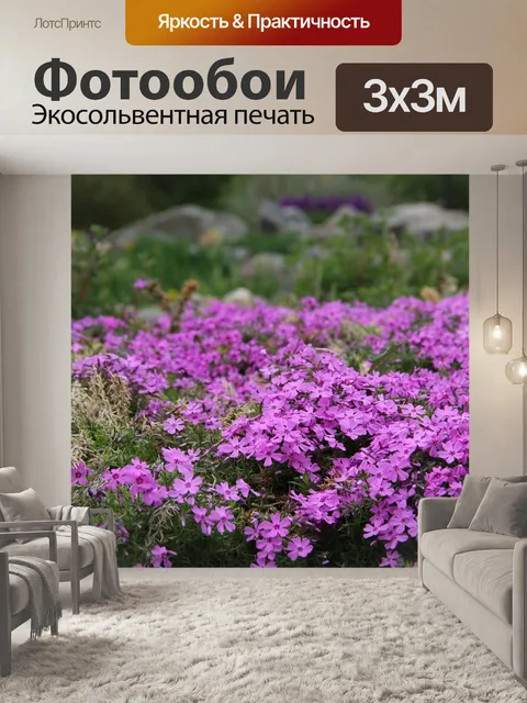 Фотообои Цветы