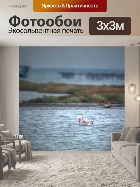 Фотообои Птицы