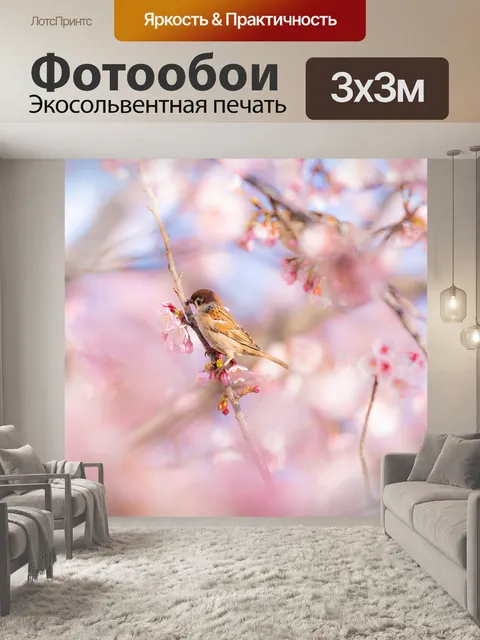 Фотообои Вишни в цвету