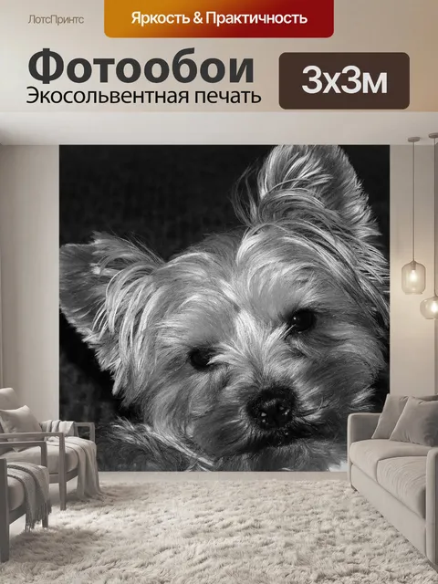 Фотообои Животное