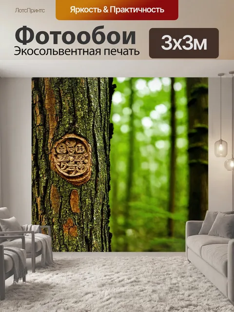 Фотообои надписи на коре деревьев, символы и мир природы