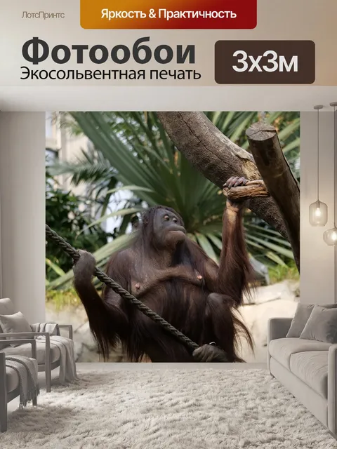 Фотообои Дерево