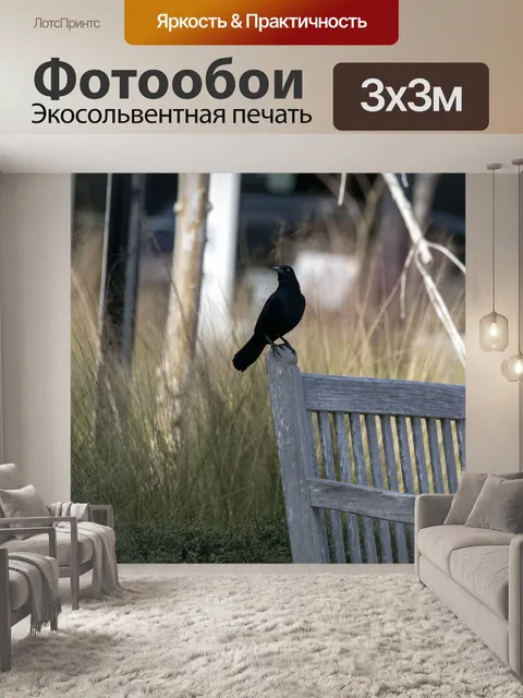 Фотообои черная птица