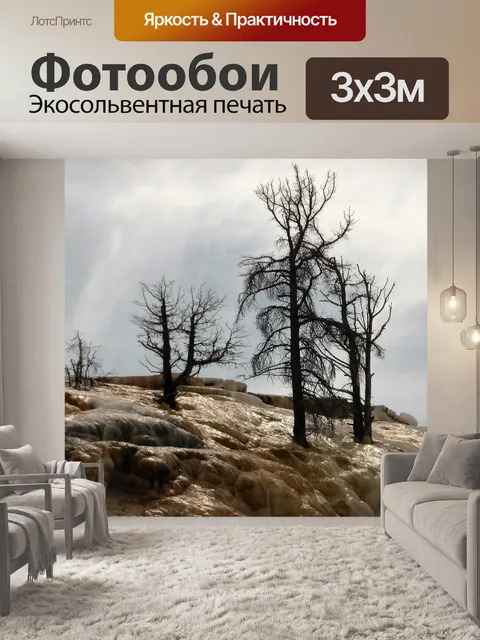 Фотообои Деревья