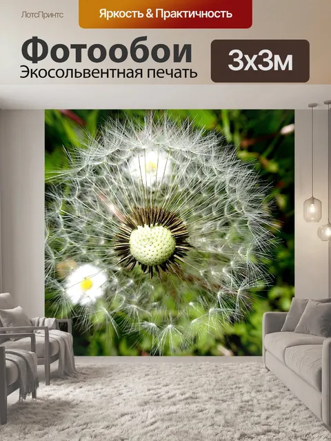 Фотообои Одуванчики