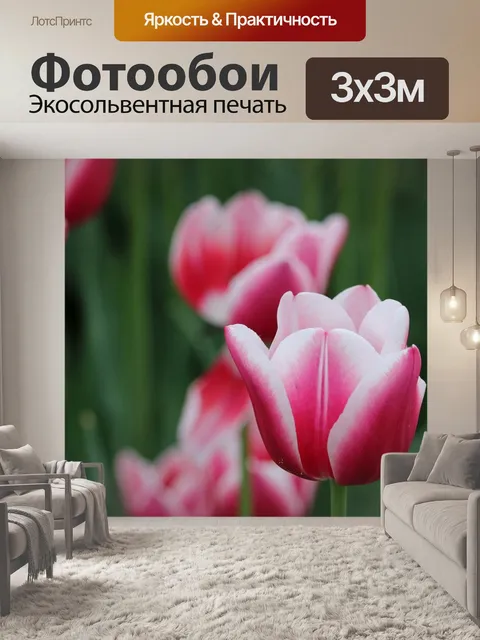 Фотообои Тюльпан