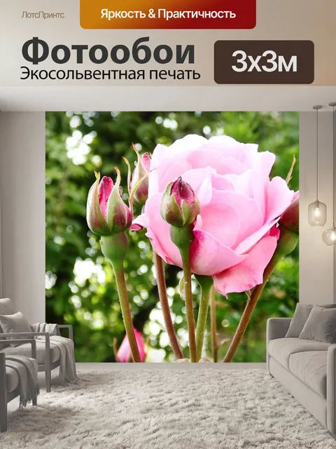 Фотообои Розы