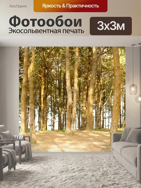 Фотообои Сосновый лес