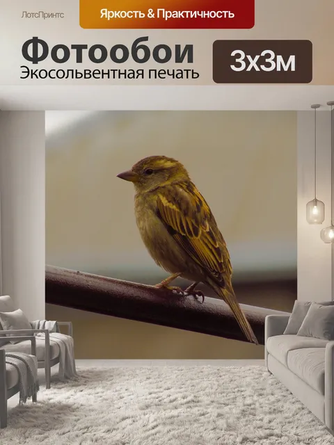 Фотообои Птицы