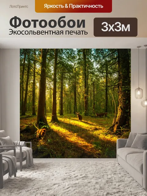 Фотообои где местные животные играют в вечернюю пору
