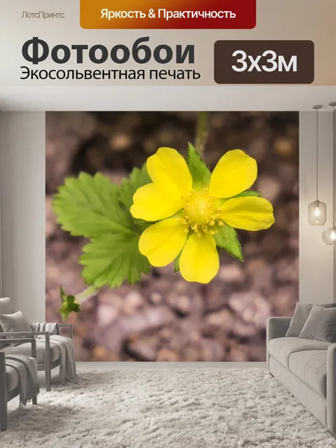 Фотообои Змея ягода