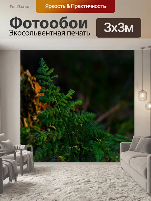Фотообои Лес