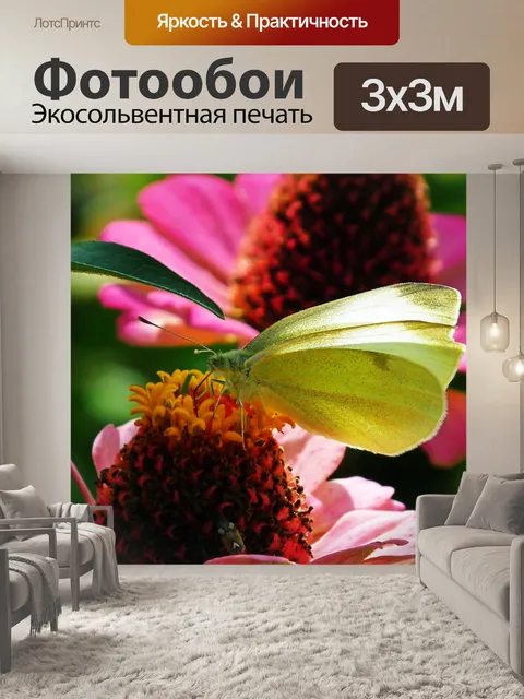 Фотообои Бабочка