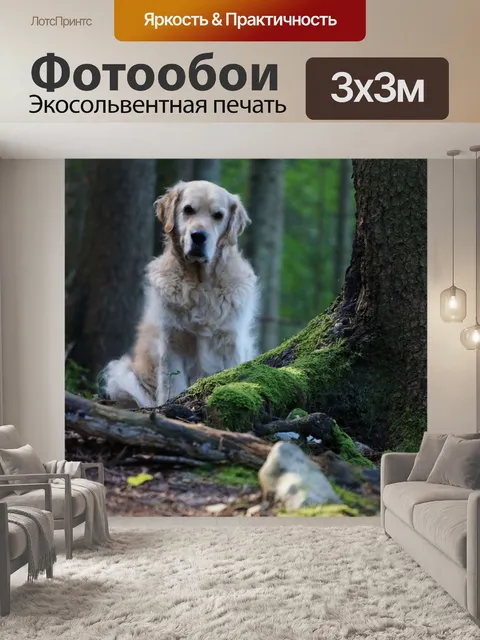 Фотообои Собака