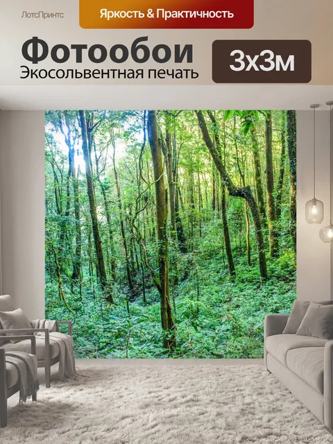 Фотообои Тропический лес в Дои Интанон, Чиангмай