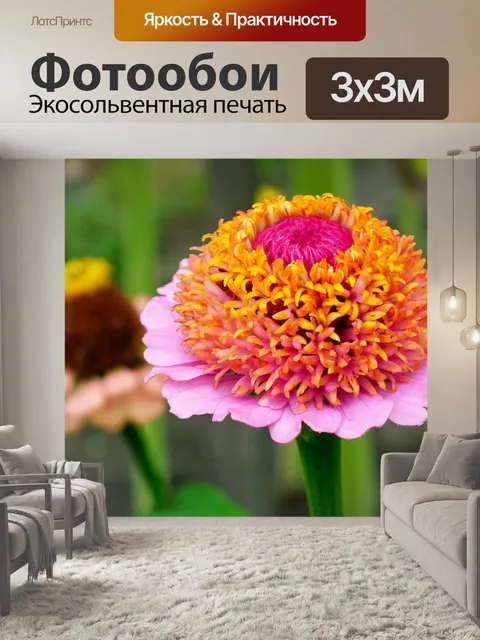 Фотообои Цветы