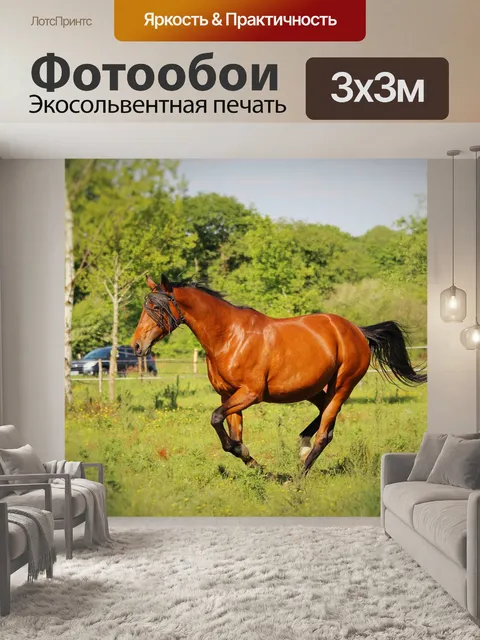 Фотообои Лошадь рысак