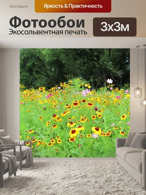 Фотообои Летние цветы
