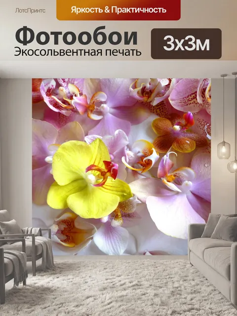 Фотообои Орхидеи