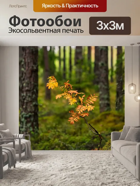Фотообои Лес