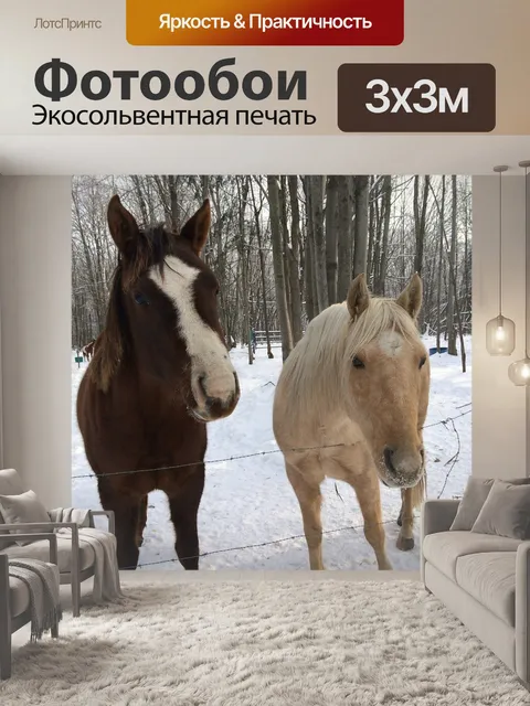 Фотообои Лошади