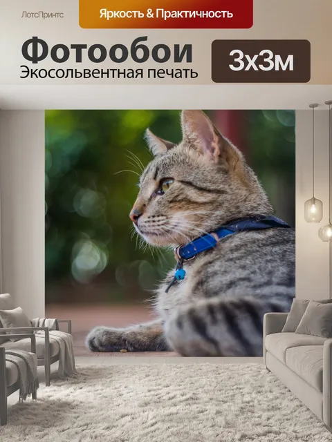 Фотообои Кошки