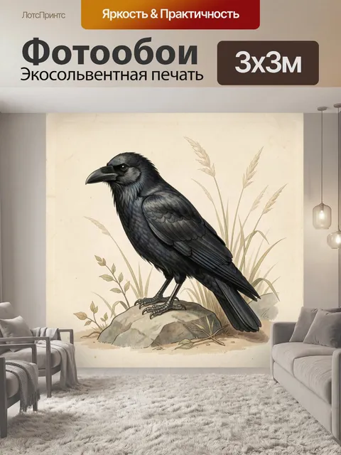 Фотообои Ворон на камне у травы