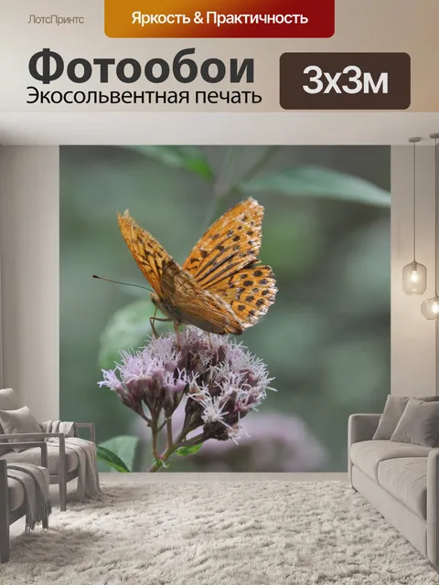 Фотообои Бабочка