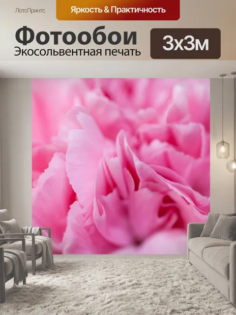 Фотообои розовые гвоздики подробнее