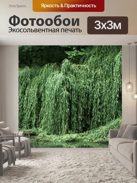 Фотообои Деревья