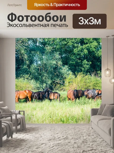 Фотообои Лошади