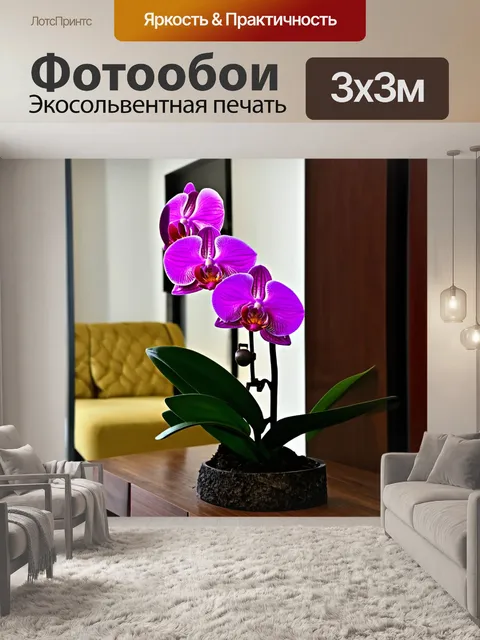 Фотообои орхидея в современном доме, стильный интерьер