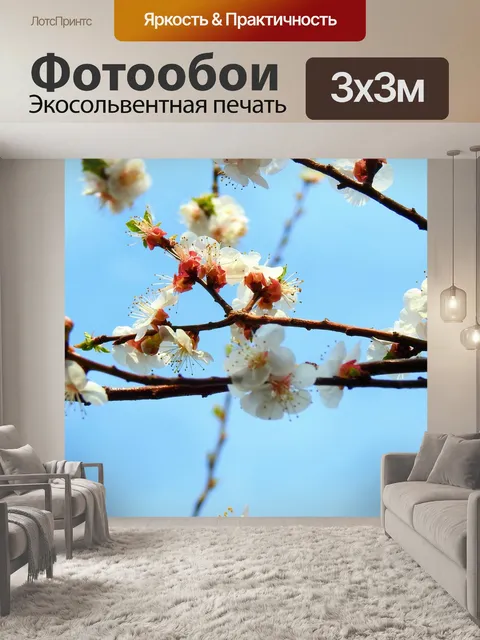 Фотообои Цветы