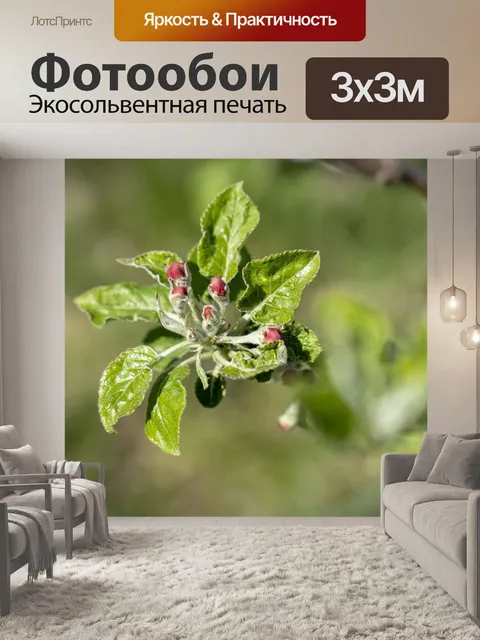 Фотообои Цветок