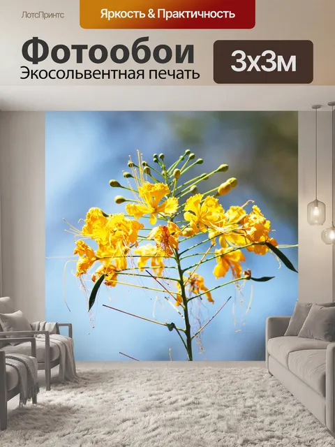Фотообои Цветы Гоа