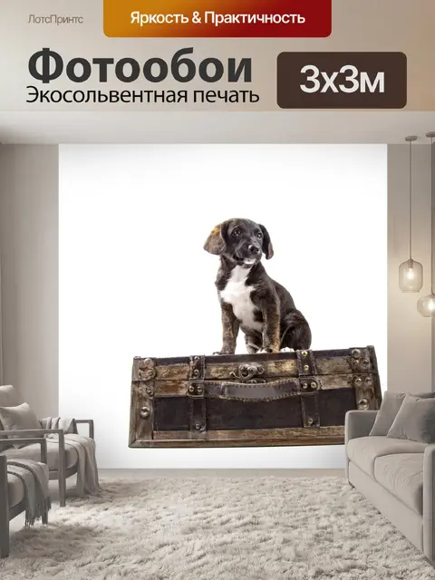 Фотообои Щенок с чемоданом